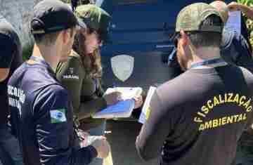  IAT cria novo canal para denúncias de crimes ambientais no Paraná